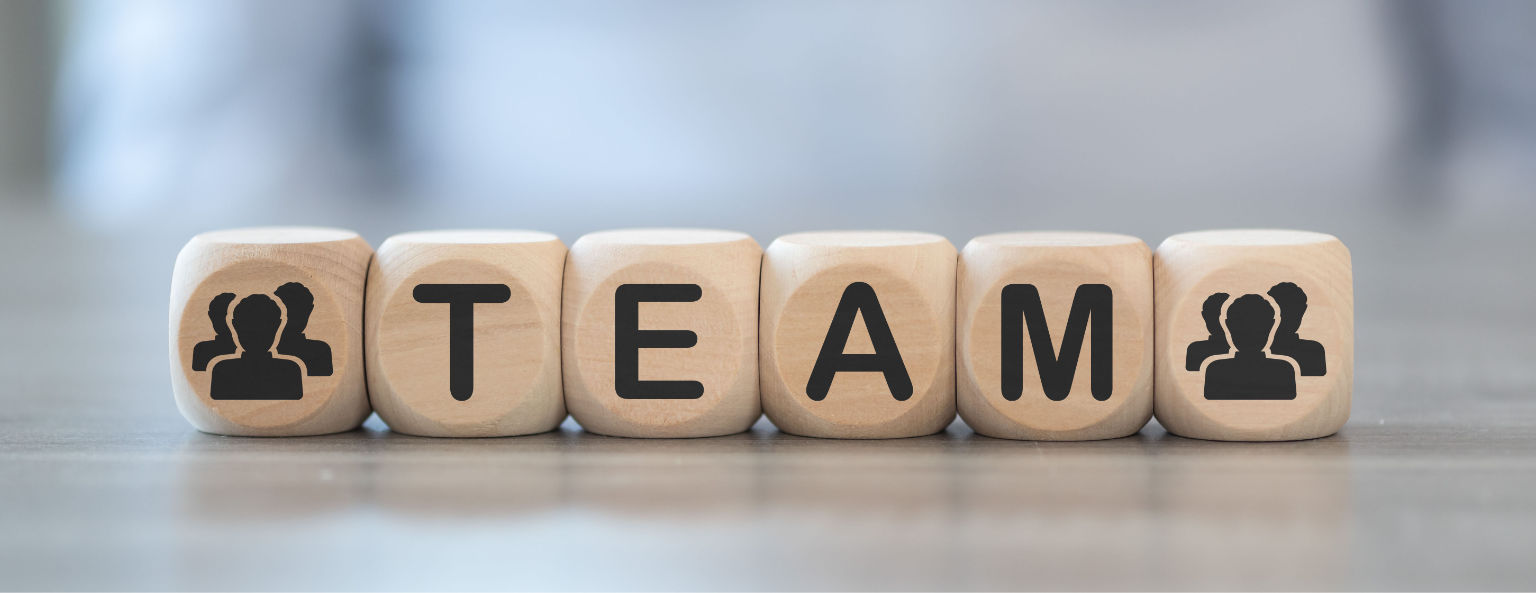 MEGAVO - TEAM